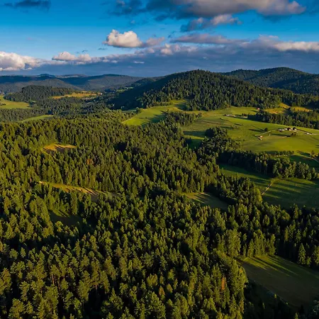 Alpehytte Na Gorczanskim Wierchu Chalet, Basen, Sauna, Balia Na Wylacznosc *